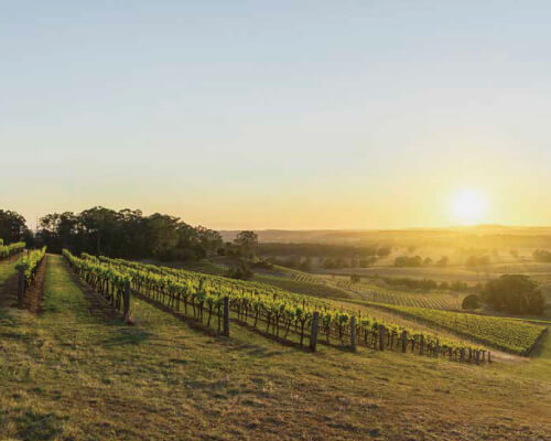 オーストラリアのワイン産地