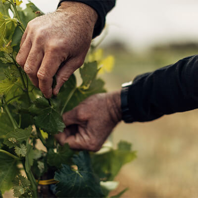 無いのなら作ってしまえばいい