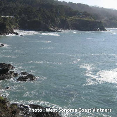 カリフォルニアの寒流