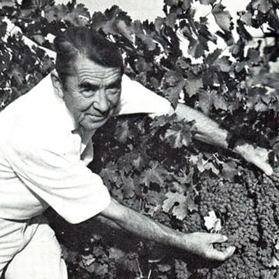 『マエストロ』アンドレ・チェリチェフの写真