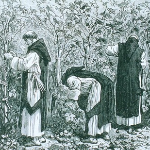 シャブリの歴史