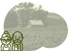 ナパ・ヴァレーにあるワイナリーの95%が家族経営。