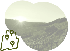 ナパヴァレーAVAの中には、さらに16の小さなAVAが存在します。