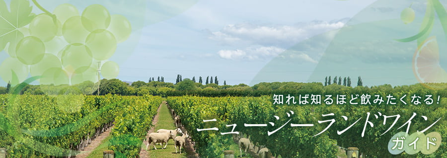 知れば知るほど飲みたくなる！ニュージーランドワインガイド