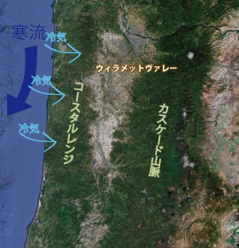 オレゴン最大の産地ウィラメット・ヴァレー