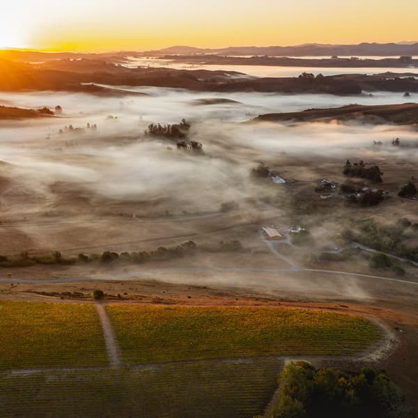 新設予定のAVA『ウエスト・ソノマ・コースト』