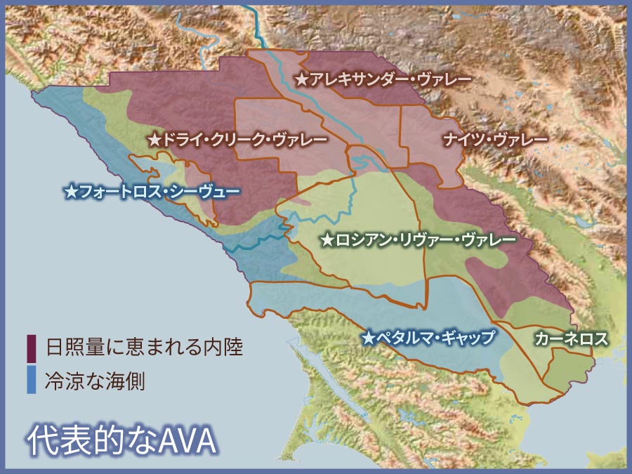 ソノマの代表的なAVA