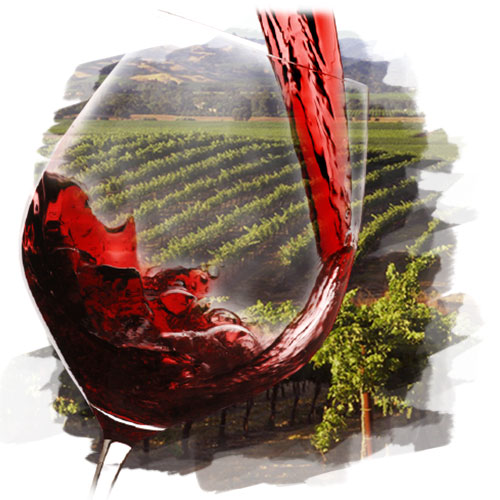 多種多様な気候と土壌、ブドウ品種