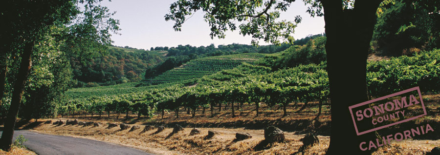 ソノマワイン　産地風景