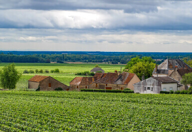フランス・ブルゴーニュ地方