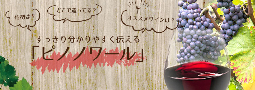 ピノノワールってどんなワイン？特徴・産地・オススメワインをすっきり分かりやすく
