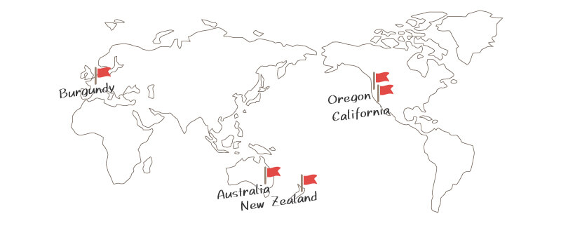 世界の優良ピノノワール地域マップ