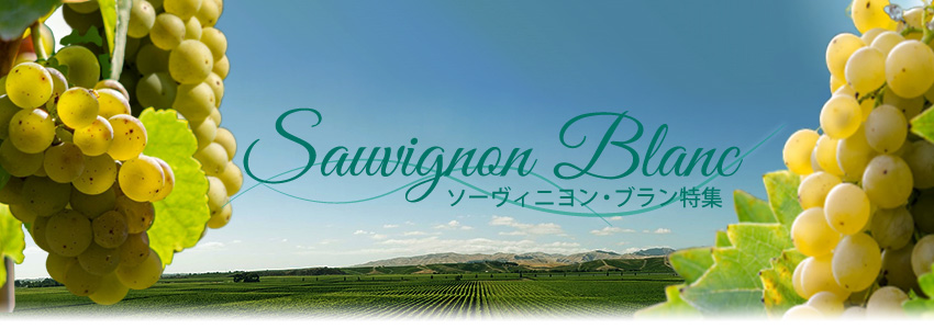 ソーヴィニヨン・ブラン特集