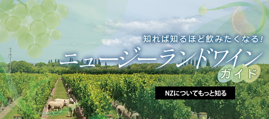 知れば知るほど飲みたくなる！ニュージーランドワインガイド