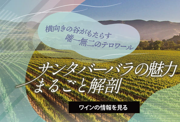 サンタバーバラ特集