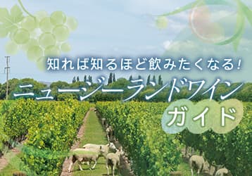 ニュージーランドワイン