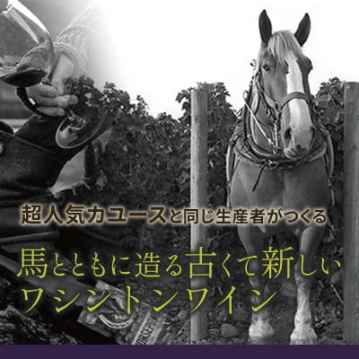 ホースパワー