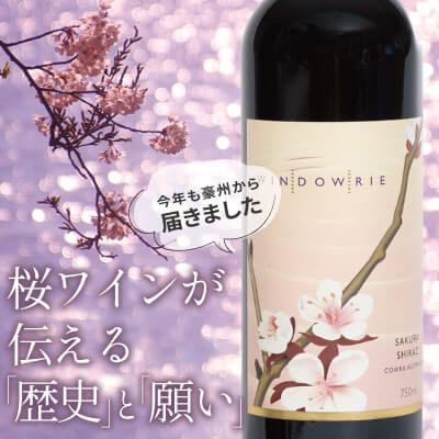 サクラシラーズ