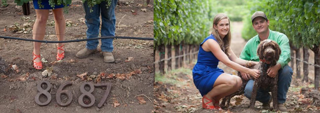 86・87 ワインズ