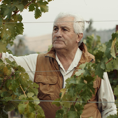 奇才ピエール・セイヤン氏