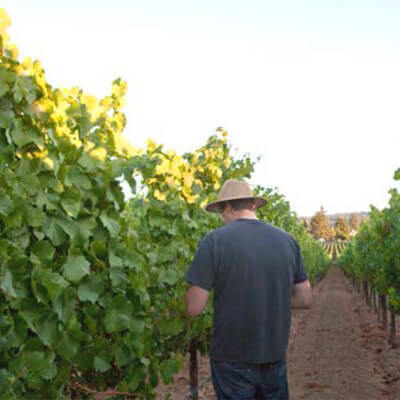 アントヒル ファームズの畑