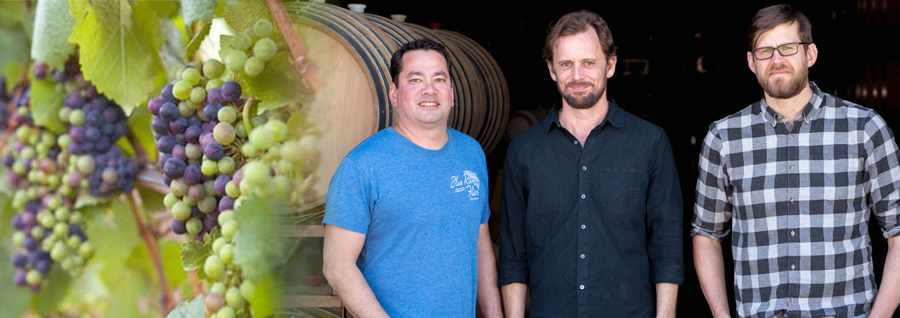 アントヒル ファームズ