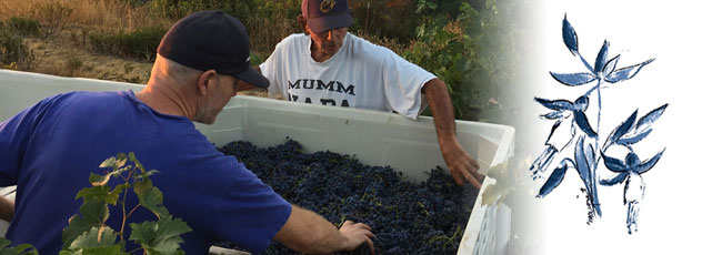 アルノー ロバーツ