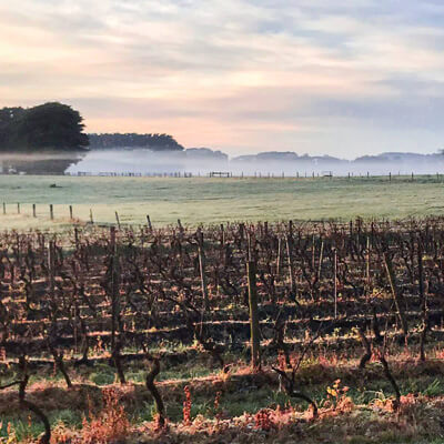 バスフィリップの畑