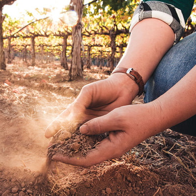ラザフォードの土