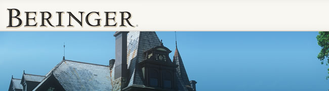 ベリンジャー　TOP