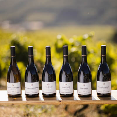 ドメーヌ ド ボワシャンのワイン