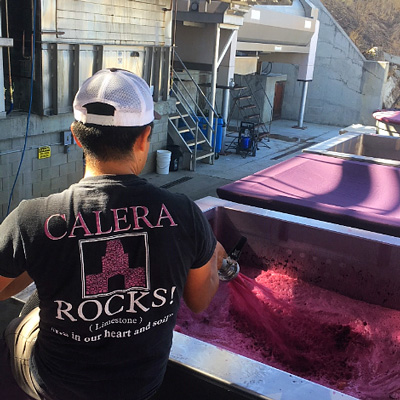 カレラのワイン造り