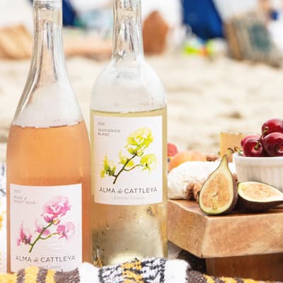 アルマ・デ・カトレア