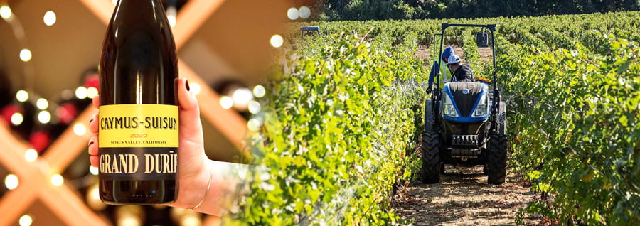 ケイマス・ススーン