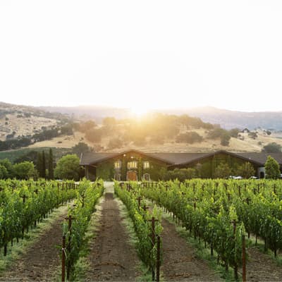 ヒロンデール・エステート スタッグス・リープ・ディストリクト