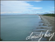 クラウディベイの湾