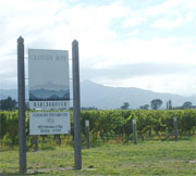 クラウディベイのヴィンヤード