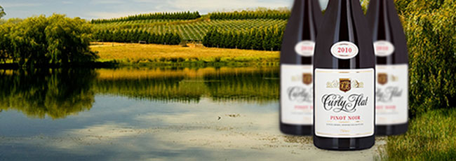 カーリーフラット