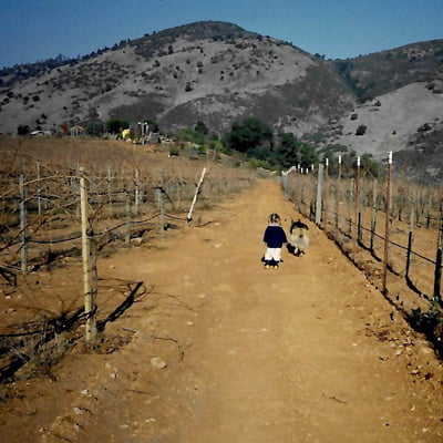 ダラ・ヴァレの畑