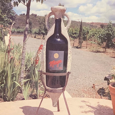 グスタフが地中海で見つけたフェニキア時代のアンフォラ