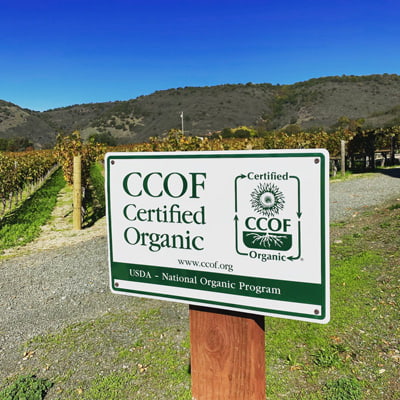 ダラ・ヴァレのCCOF認証された畑