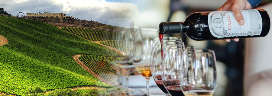 ダオ・ヴィンヤーズ