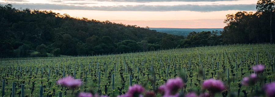 ディープ ウッズ エステイト