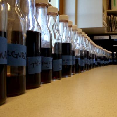 ドメーヌ・セリーヌでのワインブレンド