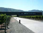 ドミナスのヴィンヤード風景2