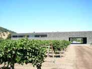 ドミナスのヴィンヤード風景3