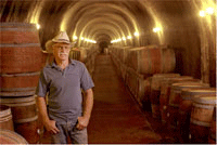 ダン ヴィンヤーズ