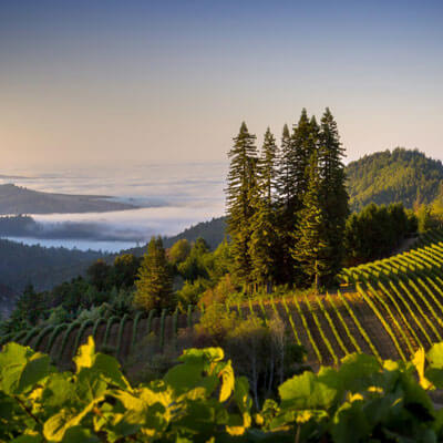 シー・ヴュー・リッジ