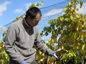 プリリヒルズのオーナー兼ワインメーカーのJudy Fowler