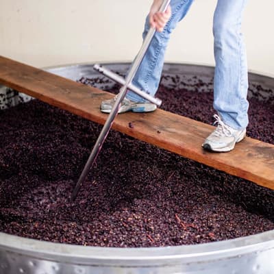 醸造中のアキコ・フリーマン